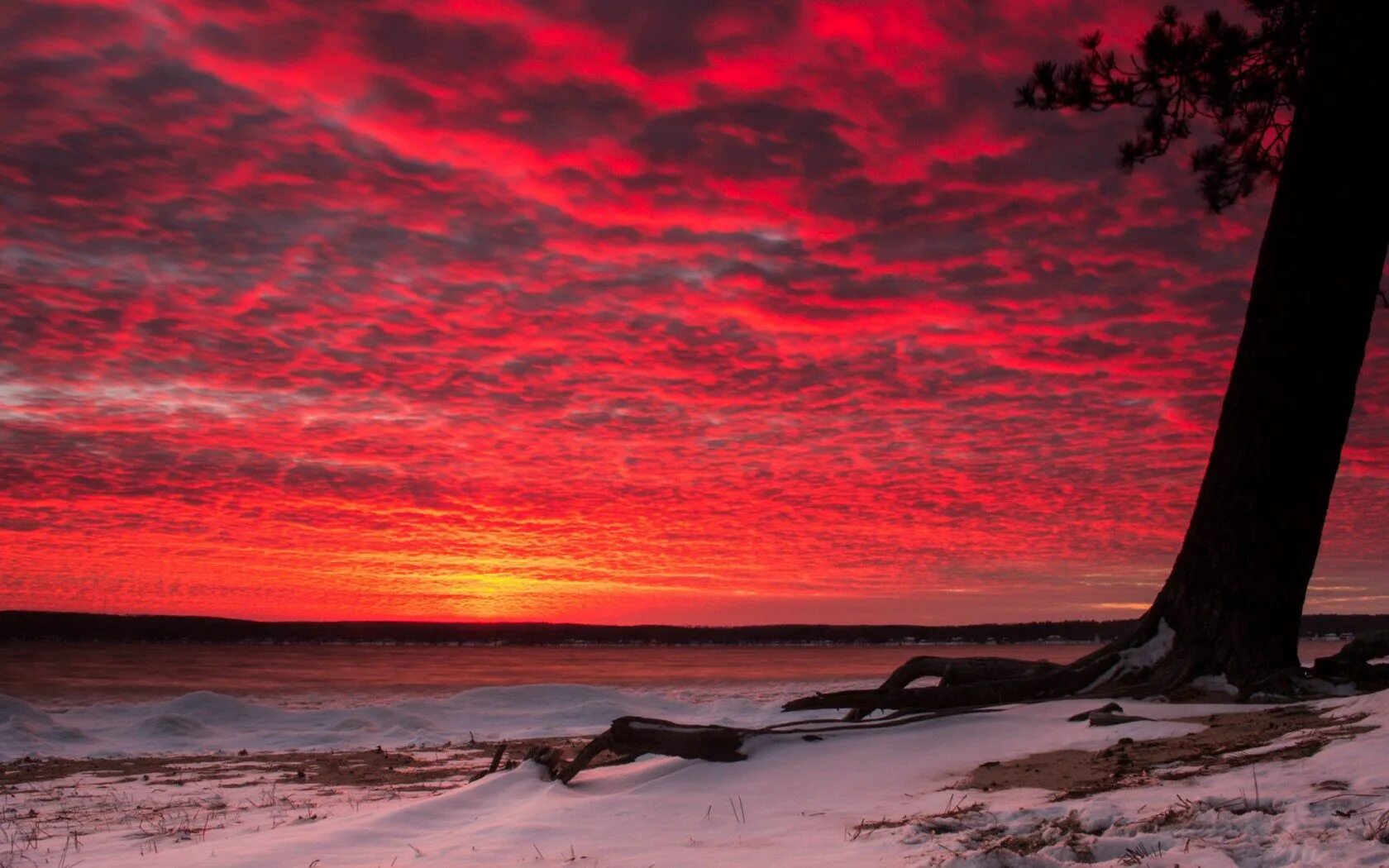 Красный закат на море фото Download wallpaper 1680x1050 sunset, snow, tree hd background