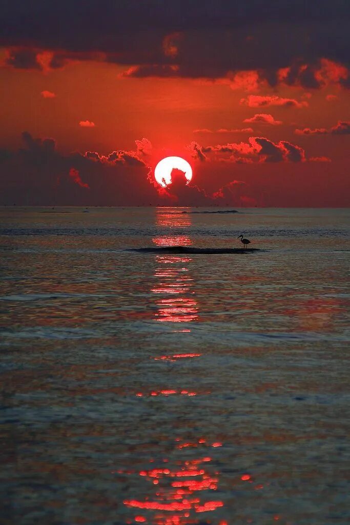 Красный закат на море фото Sunrise - Sunset Sunset nature, Sunset landscape, Sunset photography