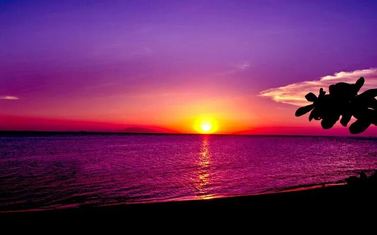 Красный закат на море фото OCEAN SUNSET WALLPAPER - (#116851) - HD Wallpapers - wallpapersinhq . Sunset wal