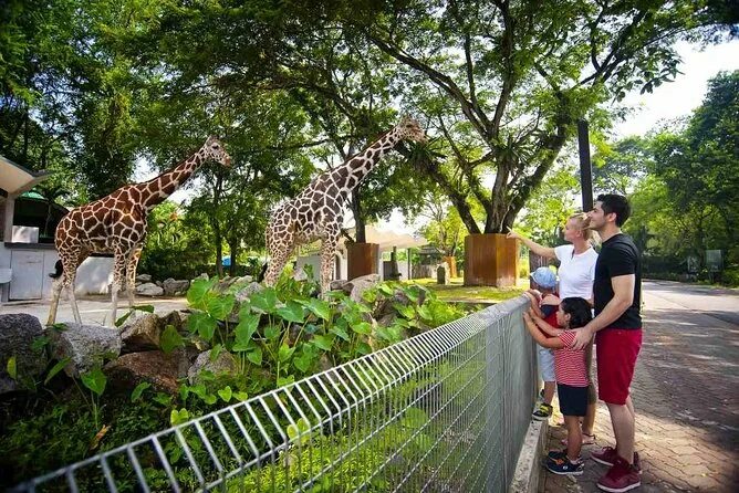 Красный зоопарк фото Kuala Lumpur Zoo, Aquarium, Bird and Butterfly Parks: Day Tour 2023