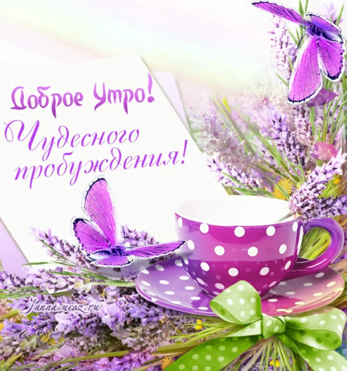 Красочного утра картинки красивые с пожеланиями Пин от пользователя Kira Lanak на доске Доброе утро и день Доброе утро, Открытки