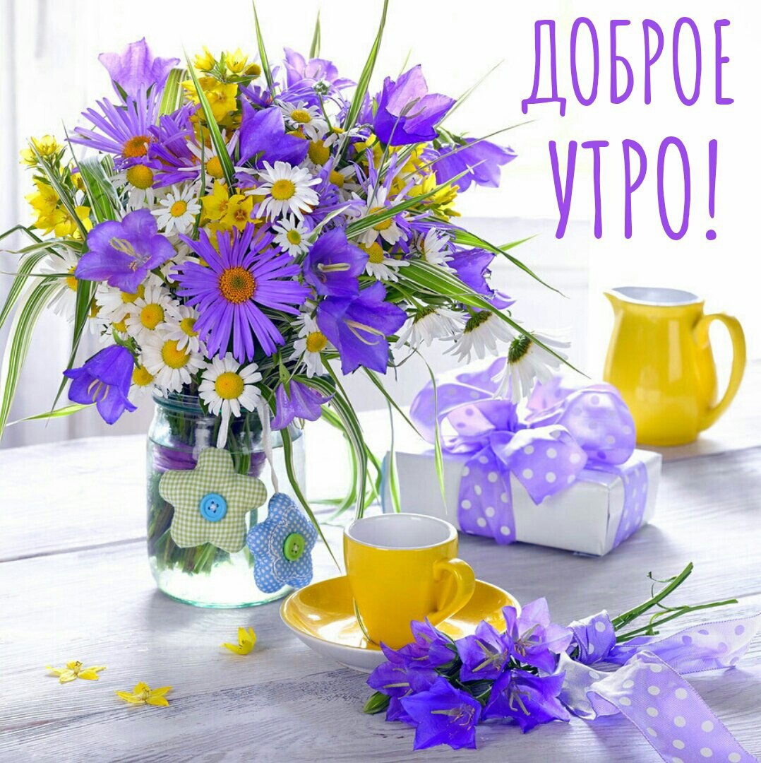 Красочного утра картинки красивые с пожеланиями Post #1867 - Пенсионеры Онлайн (-S2XOg8ZjlxkMDcy)