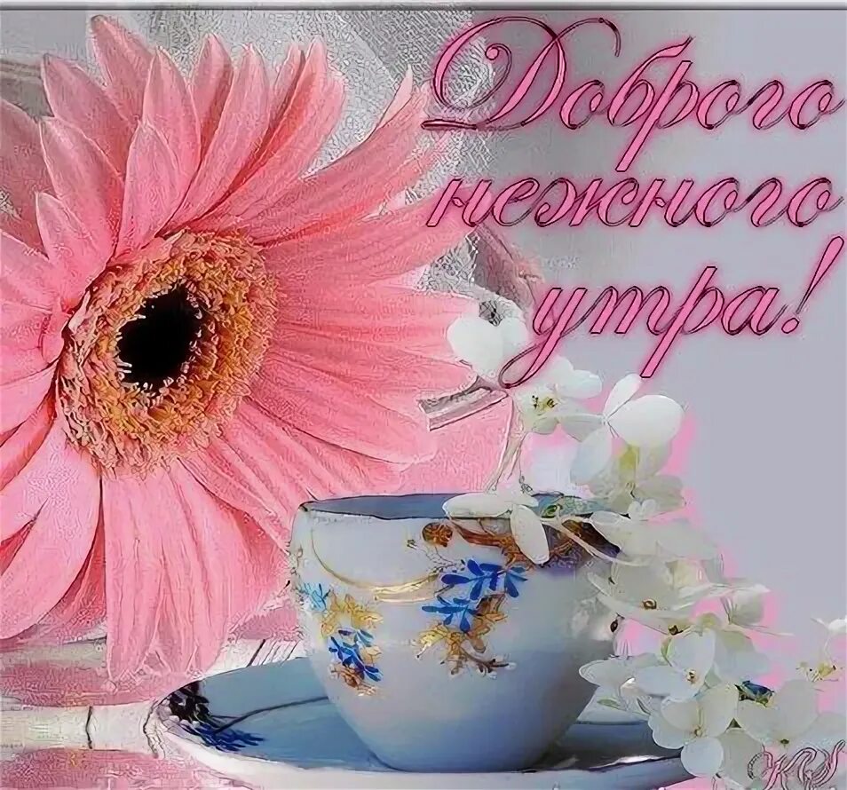 Красочного утра картинки красивые с пожеланиями ДОБРОГО НЕЖНОГО УТРА !!! Good morning, Greetings, Animation