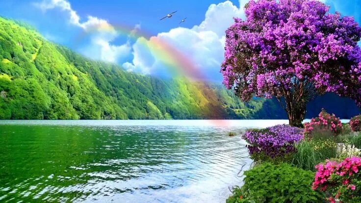 Красочные фото природы Beautiful Natural Rainbows (HD1080p) Spring landscape, Landscape, Scenery