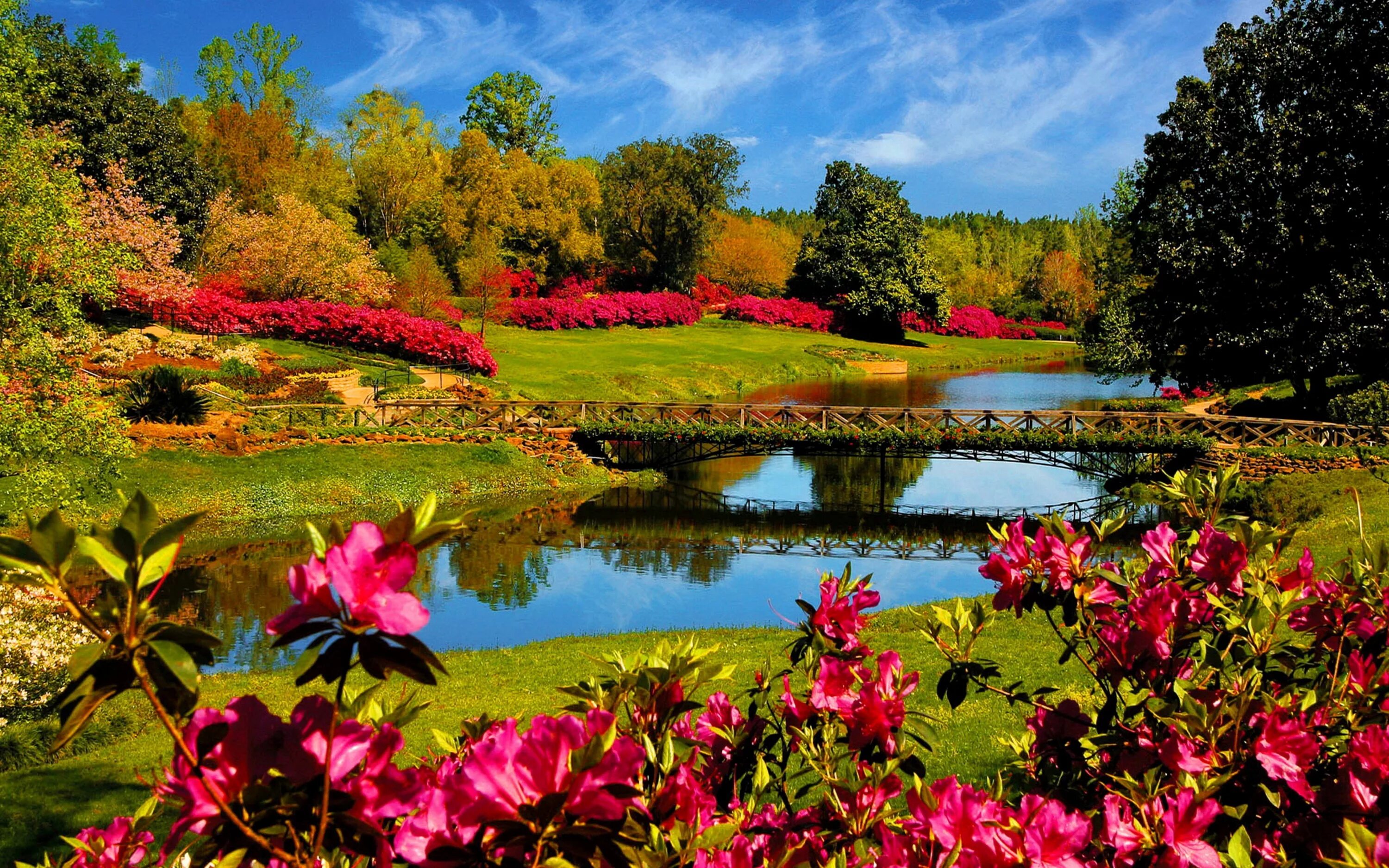 Красочные фото природы Wallpaper : 4000x2500 px, flower, lake, landscape 4000x2500 - wallbase - 1745151