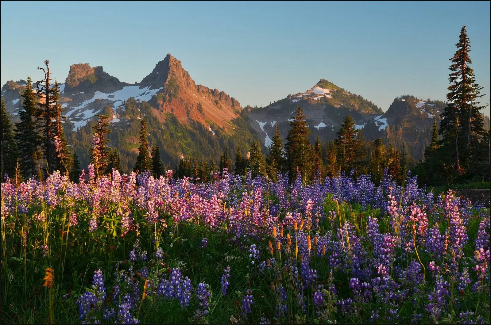 Красочные фото природы Mt Rainier, Washington State, Paradise lower parking lot, last rays of light Wil