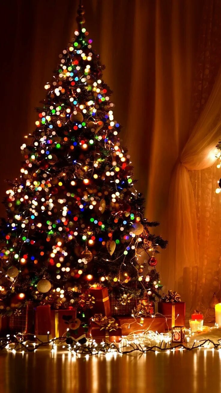 Красочные картинки и фото про новый год Christmas Tree Wallpapers natal, Papel de parede natalino, Fundos de natal