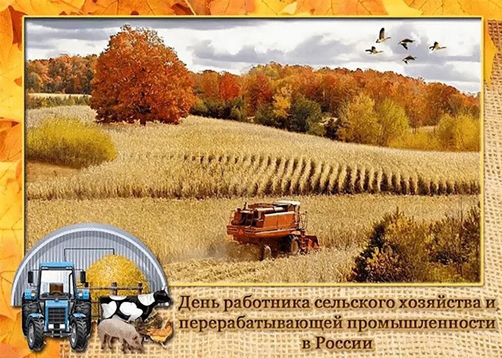 Красочные картинки ко дню работников сельского хозяйства Уважаемые труженики сельского хозяйства! С праздником вас!!! 2023 "Игнатовский к