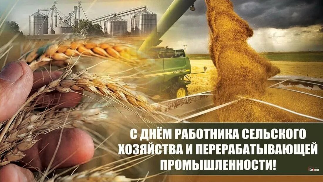 Красочные картинки ко дню работников сельского хозяйства 08 Октября 2023 - Официальный сайт Тяжинского муниципального округа