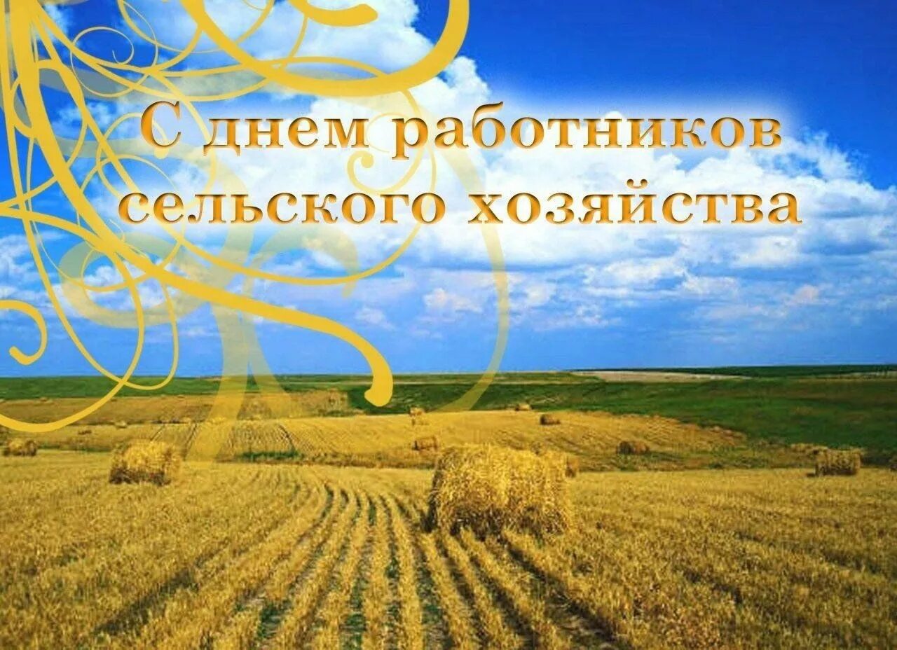 Красочные картинки ко дню работников сельского хозяйства День работника сельского хозяйства" 2023, Кукморский район - дата и место провед