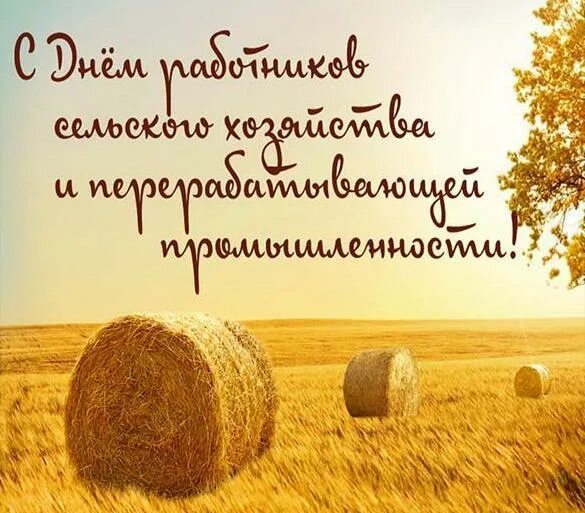 Красочные картинки ко дню работников сельского хозяйства Новости