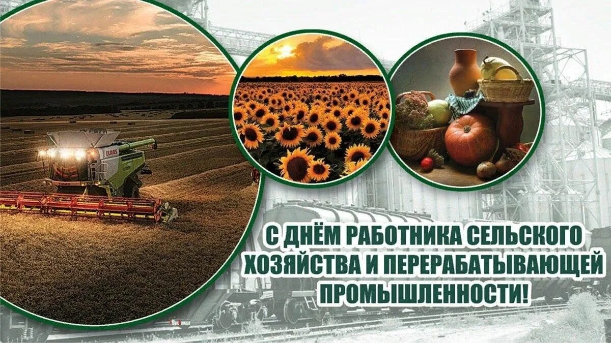 Красочные картинки ко дню работников сельского хозяйства День работника сельского хозяйства и перерабатывающей промышленности 2023, Лиски