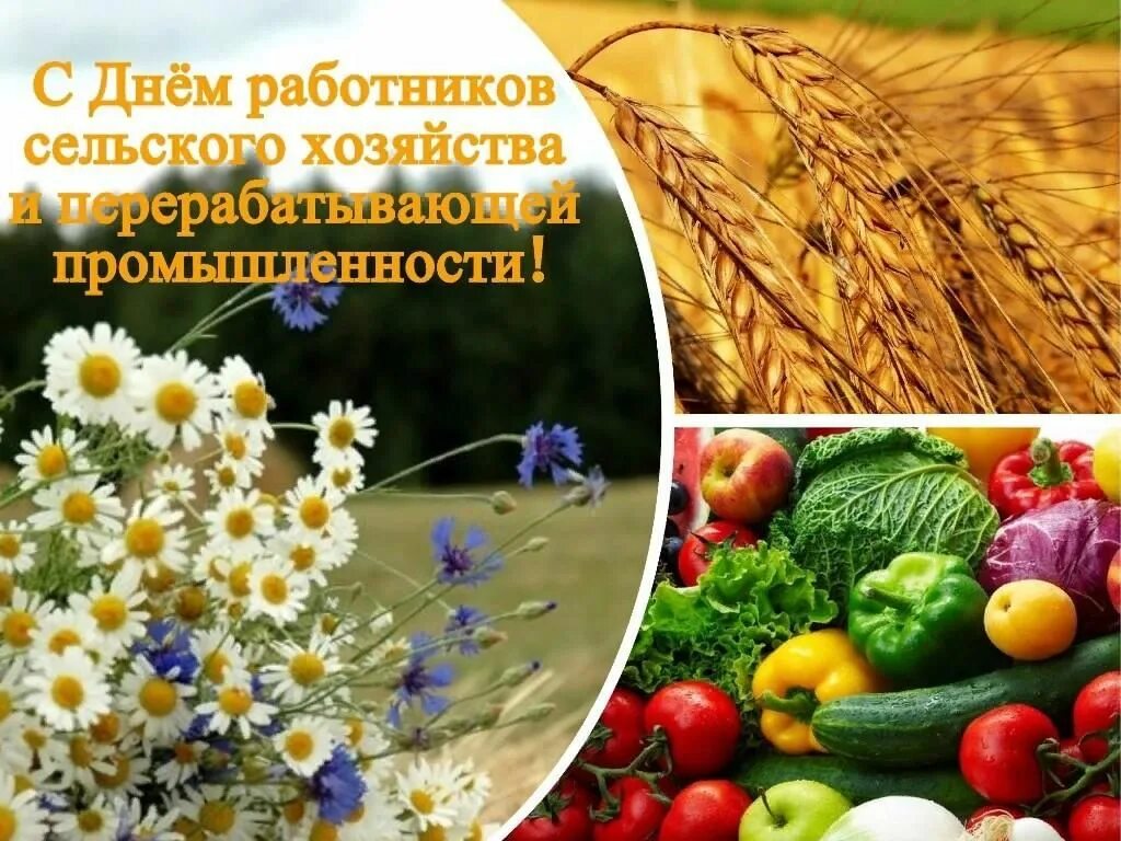 Красочные картинки ко дню работников сельского хозяйства С днем сельского хозяйства 2021, Лискинский район - дата и место проведения, про