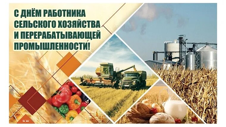 Красочные картинки ко дню работников сельского хозяйства Казенное унитарное предприятие Чувашской Республики "Агро-Инновации" " Новости "