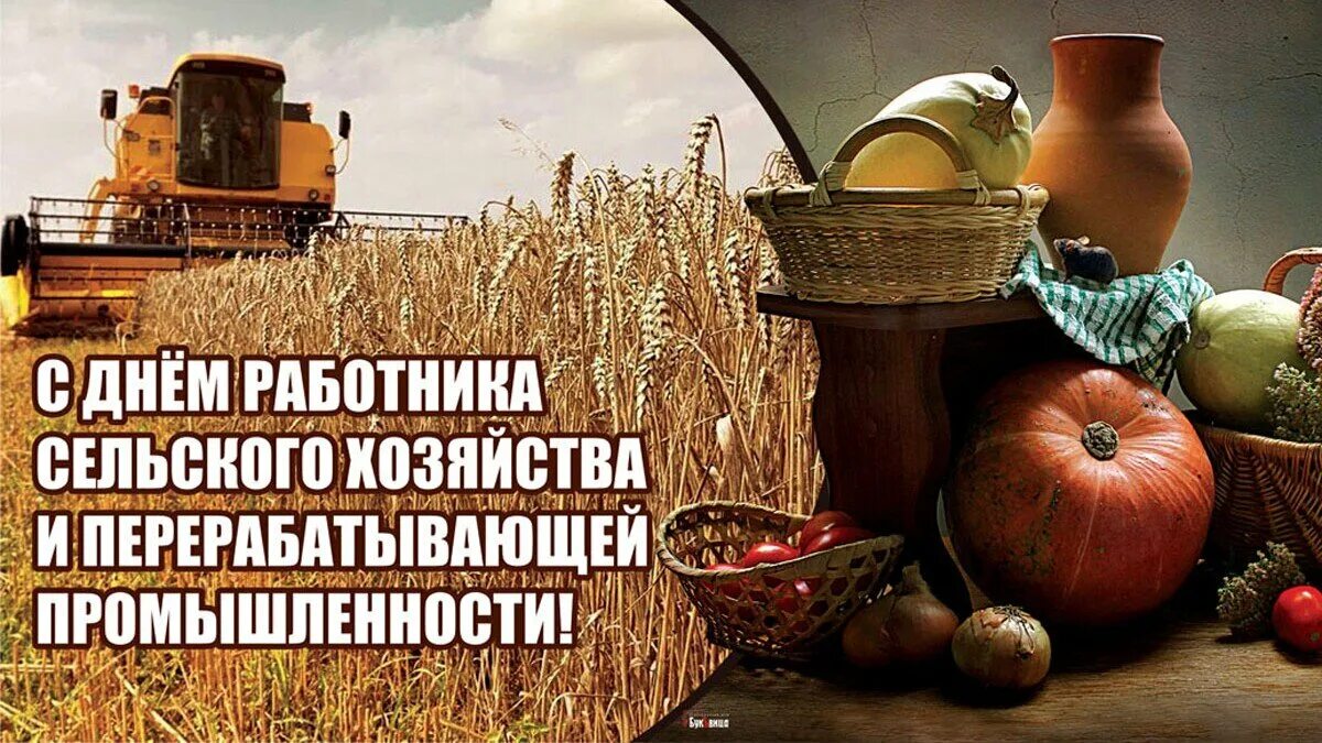 Красочные картинки ко дню работников сельского хозяйства Календарь событий