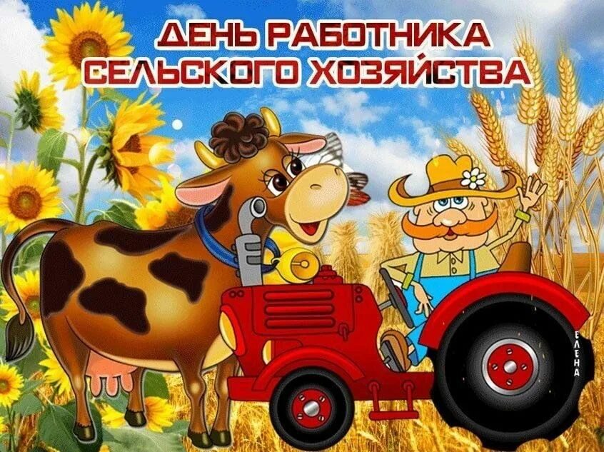 Красочные картинки ко дню работников сельского хозяйства День работников сельского хозяйства. Раздача поздравительных открыток. 2023, Кук