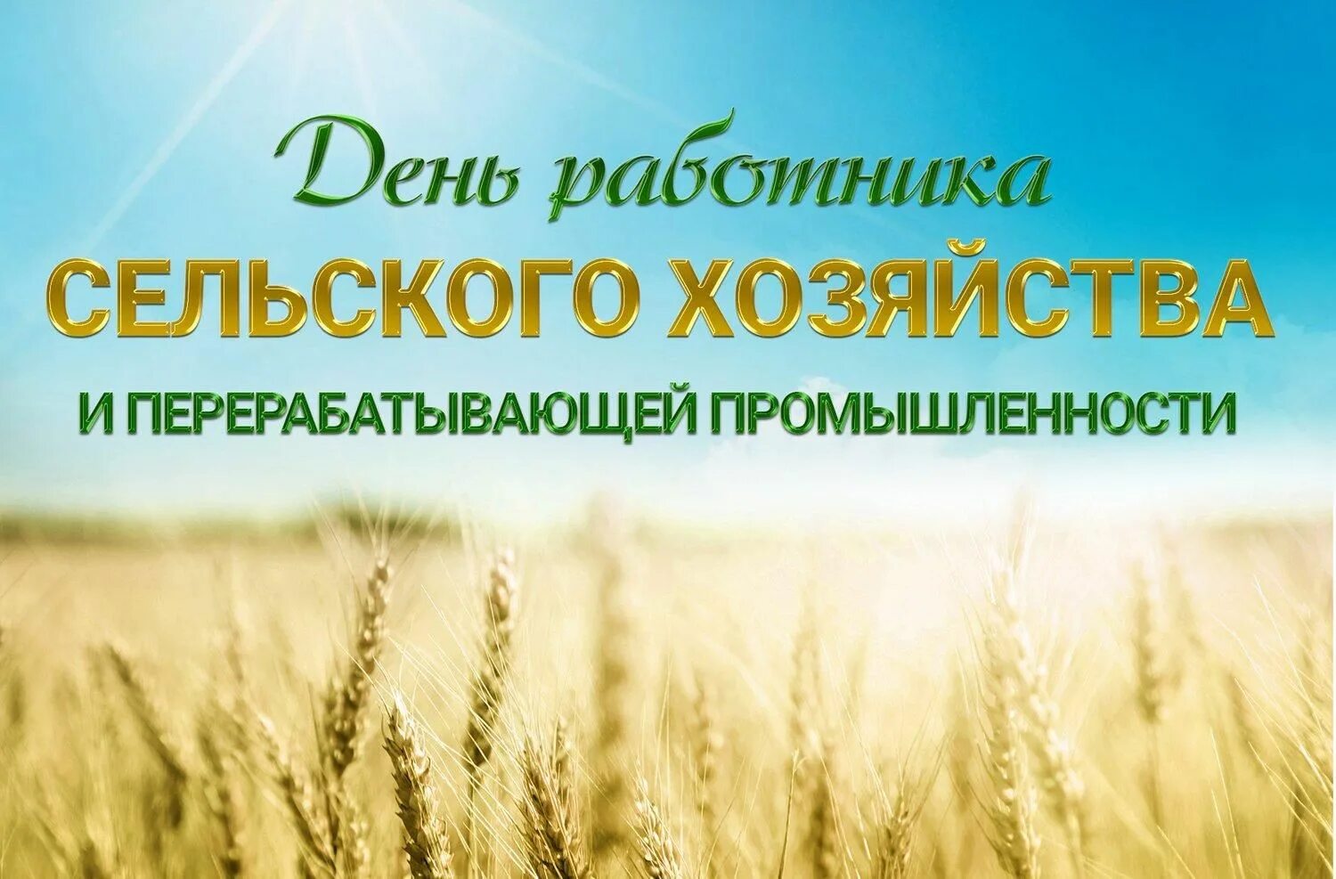 Красочные картинки ко дню работников сельского хозяйства День работников сельского хозяйства 2020, Лискинский район - дата и место провед