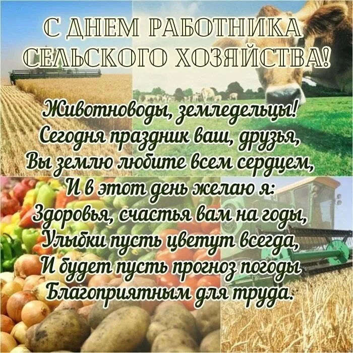 Красочные картинки ко дню работников сельского хозяйства Уважаемые труженики сельского хозяйства и ветераны! Примите светлые и теплые поз