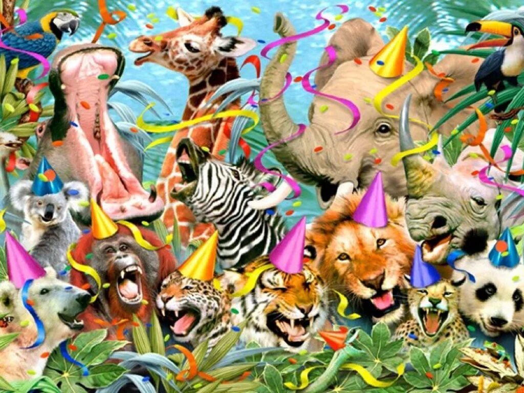 Красочные животные картинки Jungle Animals Eight wallpapers Animal party, Wild animals photos, Jungle animal