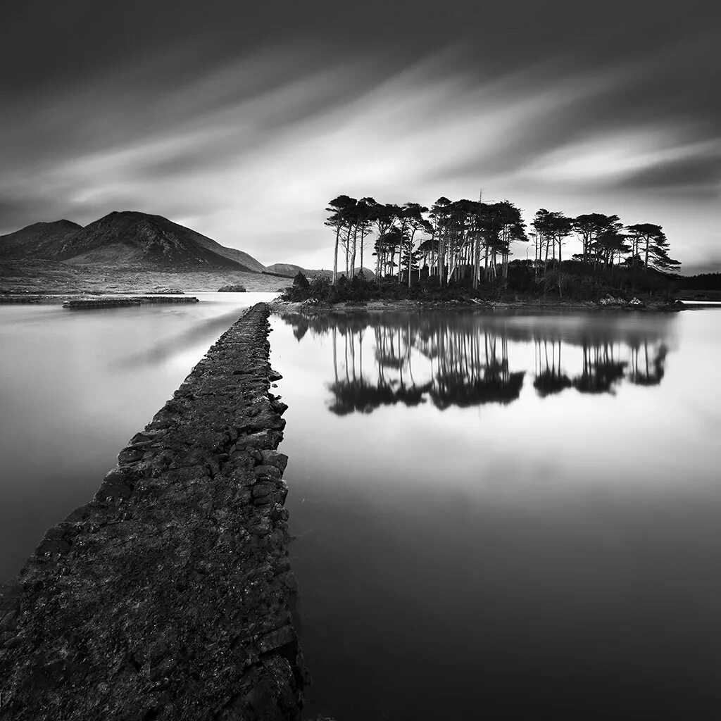 Красота фото черно белое Derryclare Probably the 2nd most photographed trees in Ire. Flickr