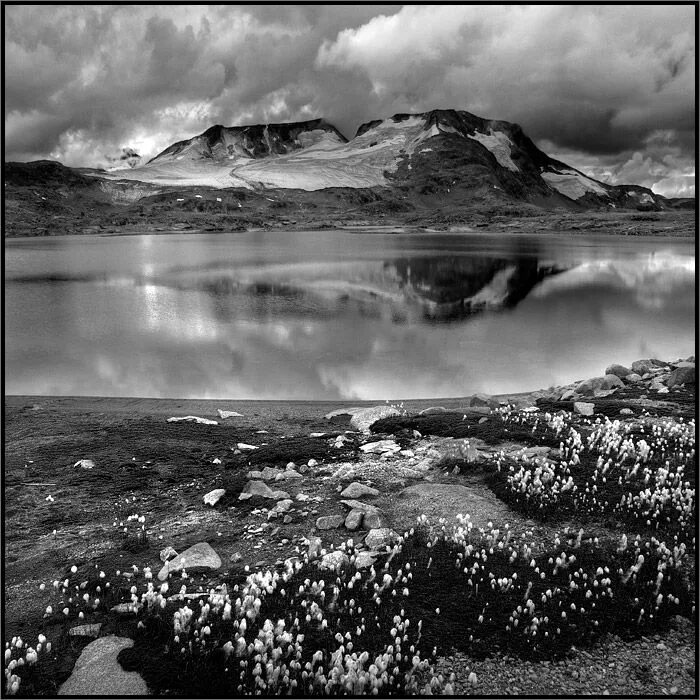 Красота фото черно белое Majestic Black and White Landscapes Black and white landscape, Black and white, 