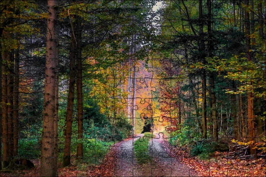 Красота леса фото Магнитный пазл 27x18см."Дорожка, тащить, лесная тропа" на холодильник - купить с