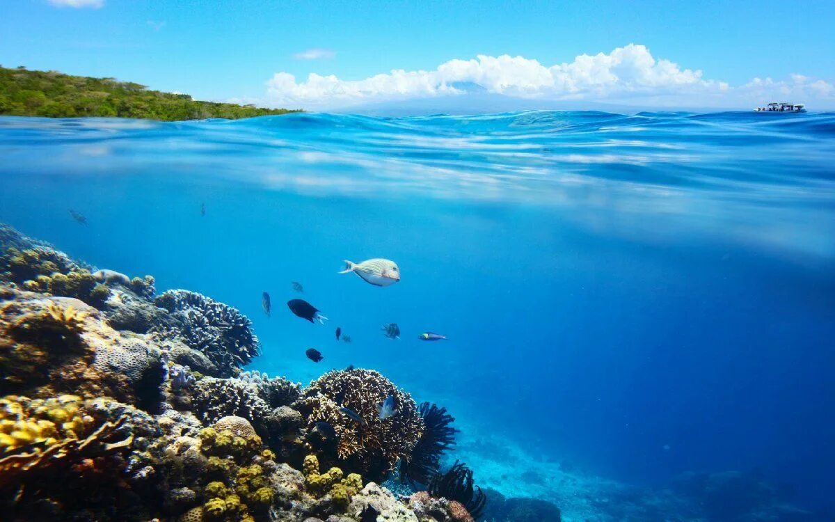 Красота моря фото Красота воды (60 фото) Пейзажи, Океанские волны, Водопады