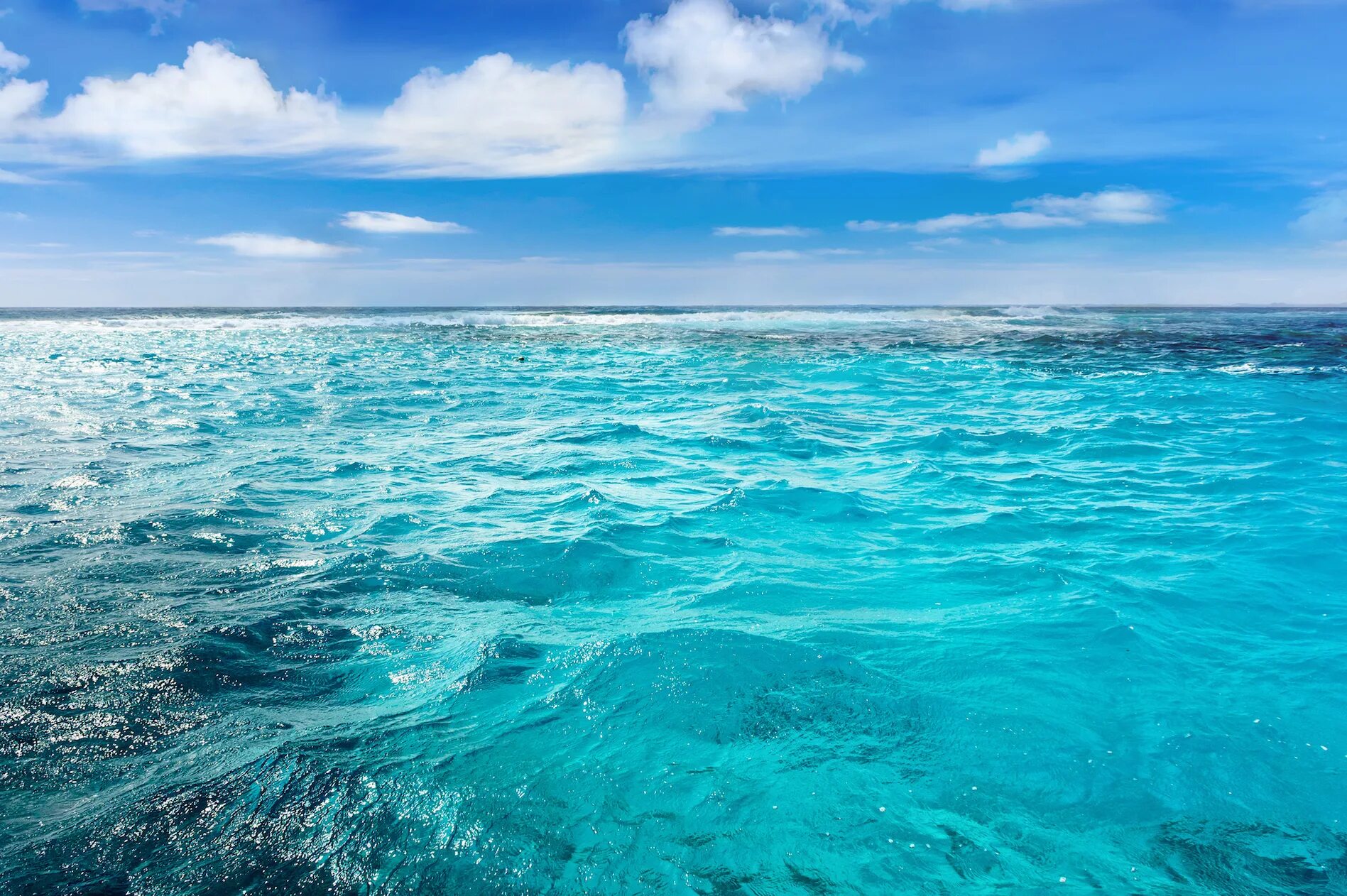 Красота моря фото Study: Depleted oceans could take a million years to recover - Earth.com
