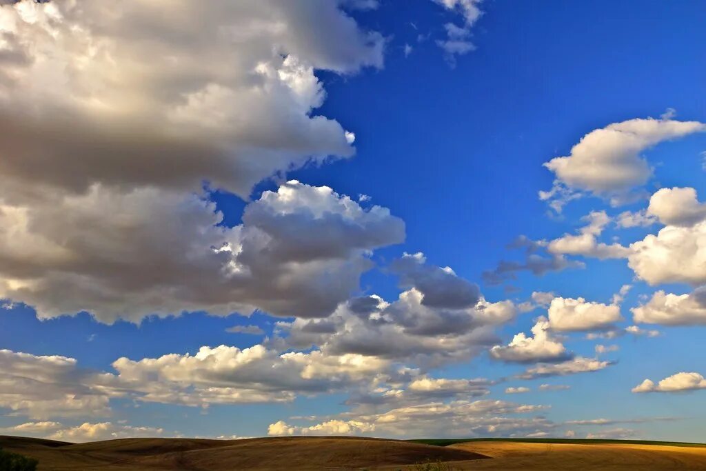 Красота неба фото Pompey New York - Landscape - Wheatfield - US 20 - Onondag. Flickr