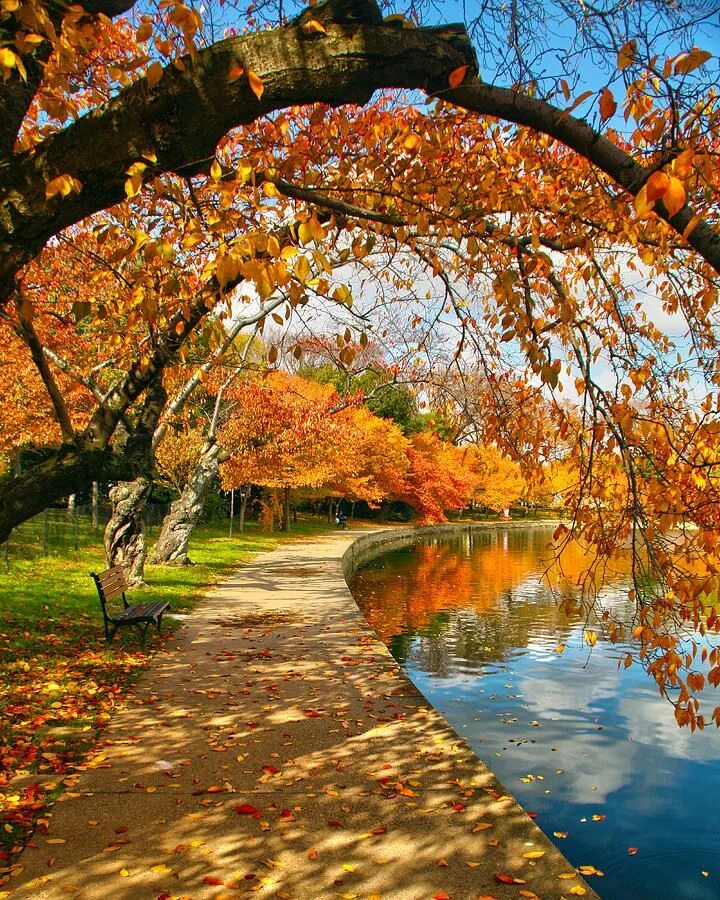 Красота осени фото Seasons Autumn landscape, Autumn scenery, Autumn photography