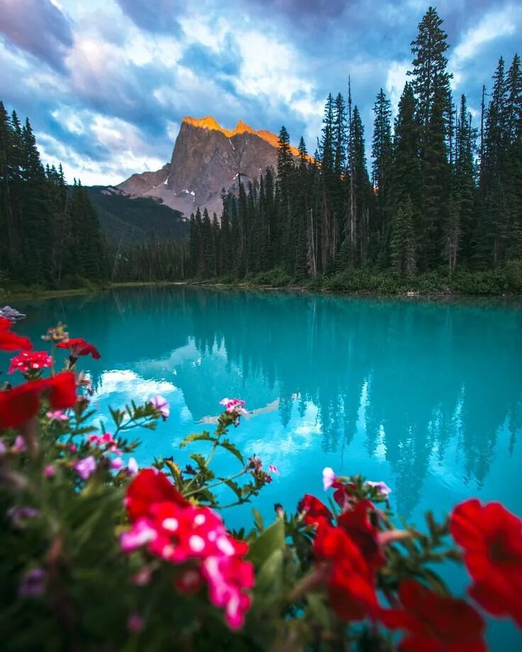 Красота природы фото Emerald Lake, Canada - by Joey Mackin Beautiful nature, Scenery, Nature photogra