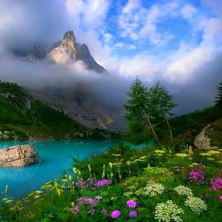Красота природы фото Pishon Best landscape photographers, Cool landscapes, Scenery photos