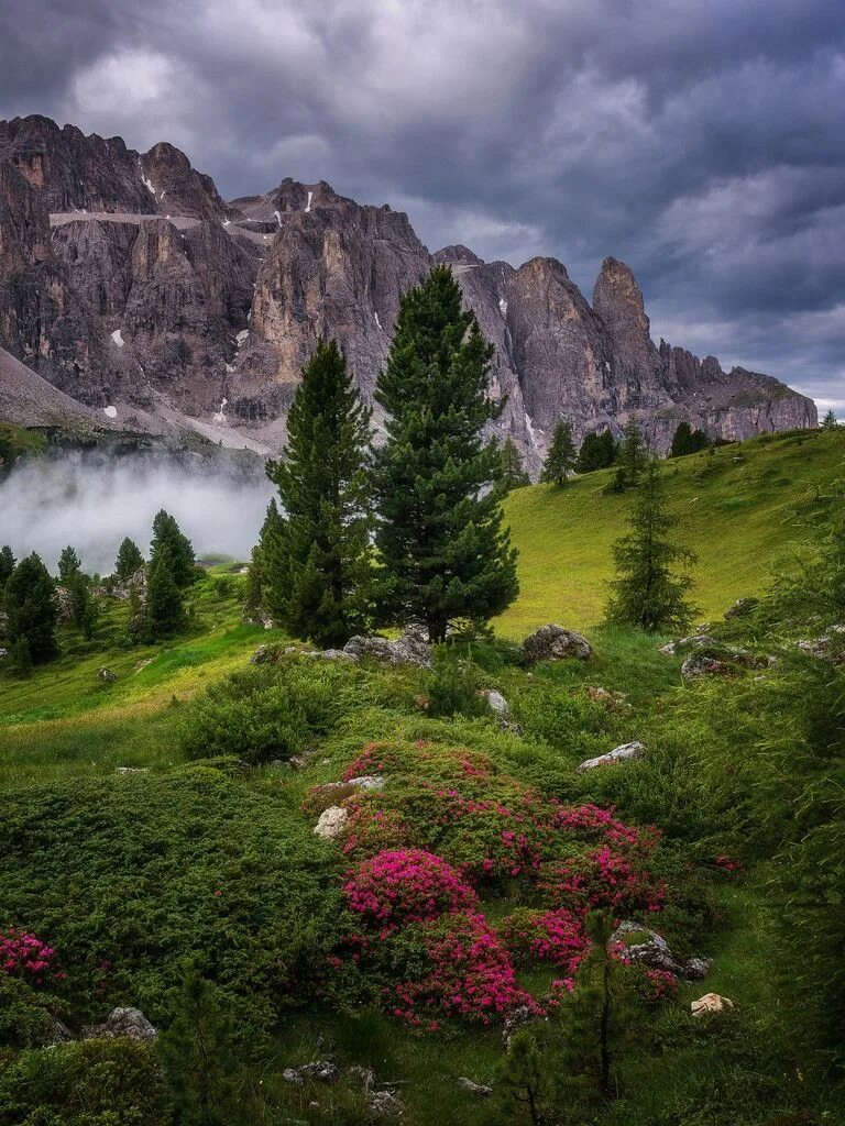 Красота природы фото Pin by Snowybear on Nature Cool pictures of nature, Beautiful landscapes, Nature