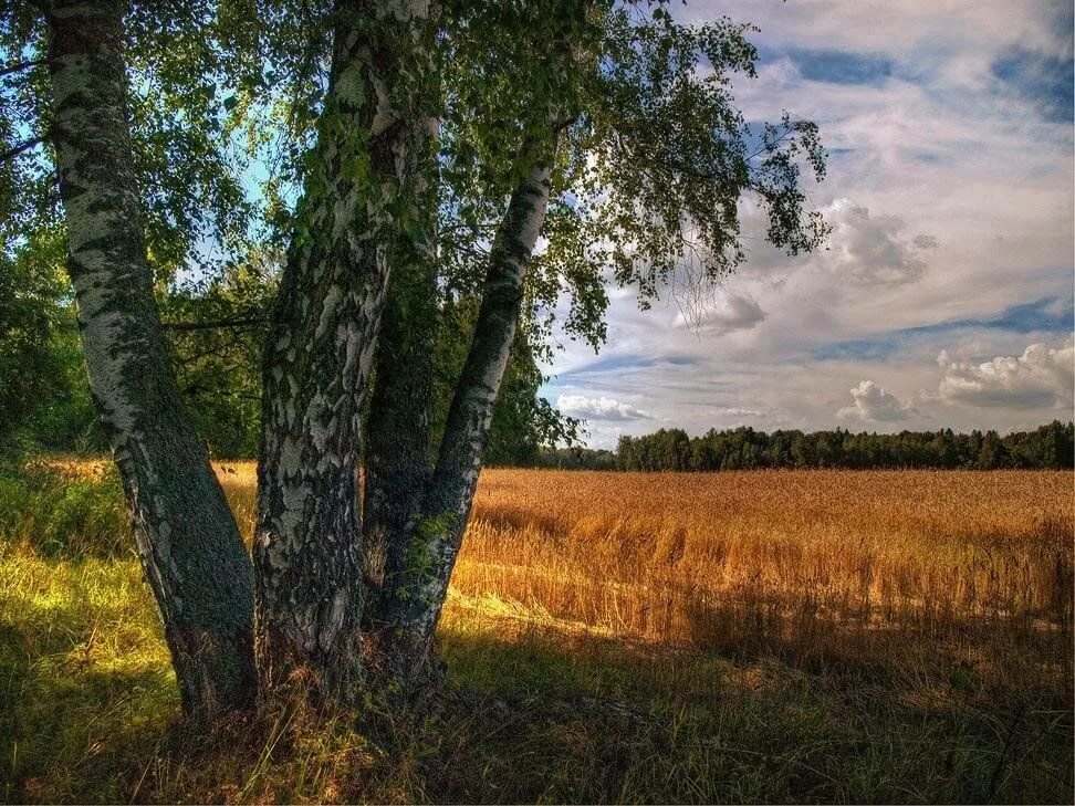 Красота родного края фото Час истории "Наш любимый край родной" 2023, Каменский район - дата и место прове