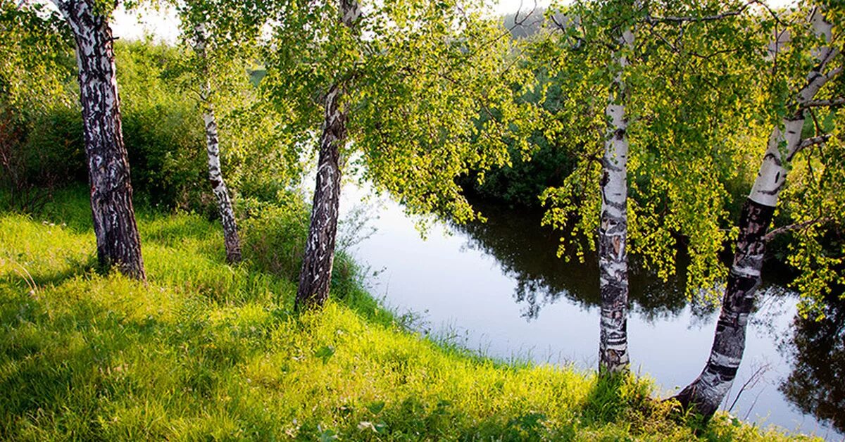 Красота родного края фото Речка моего детства Пикабу