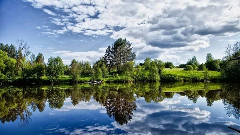 Красота родного края фото Конкурс "Природа родного края" 2019, Курчалоевский район - дата и место проведен