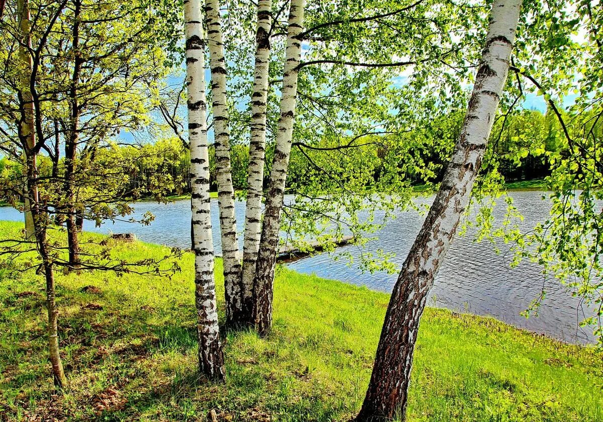 Красота родного края фото Дистанционный фото-конкурс (Красота родной природы) посвященный Дню малой Родины