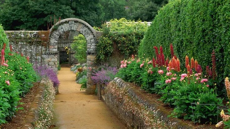 Красота садов фото Garden in the Channel Islands Garden pictures, Garden images, Beautiful gardens
