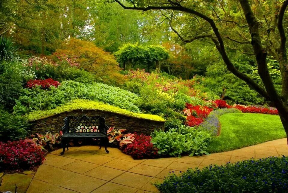 Красота садов фото ボ-ド"F...7My garden *()*"の ピ ン