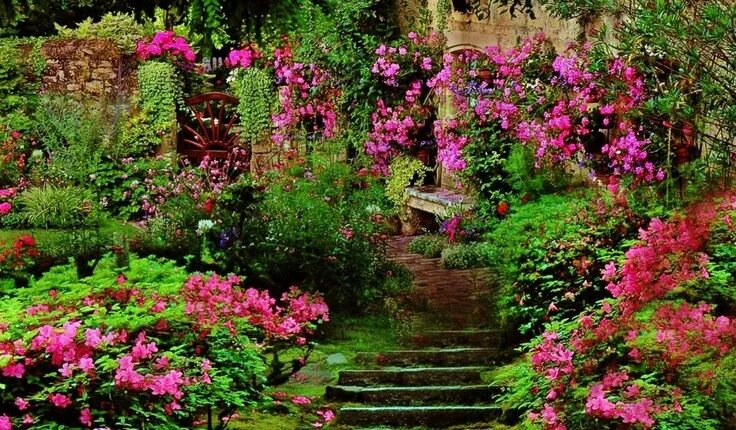 Красота садов фото Пин на доске GARDEN OF EARTHLY DELIGHTS. Красивые сады, Огород, Сад