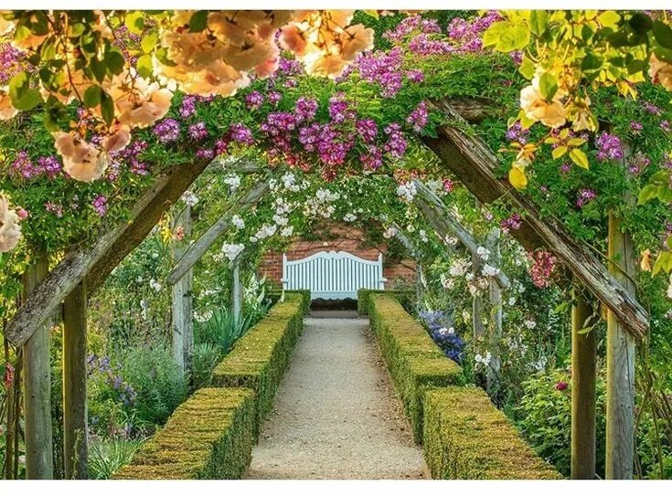 Красота садов фото Pin by Luna Sea on ✨ Yard, Garden, Porch, Pool ✨ Day trips from london, Day trip