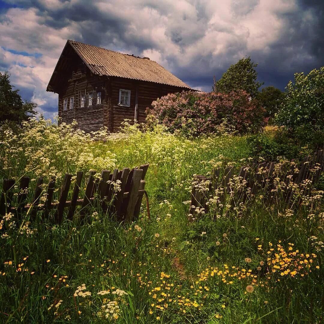 Красоты деревни фото Settlement Novye Peski, the Republic of Karelia, Russia. Летний пейзаж, Живописн
