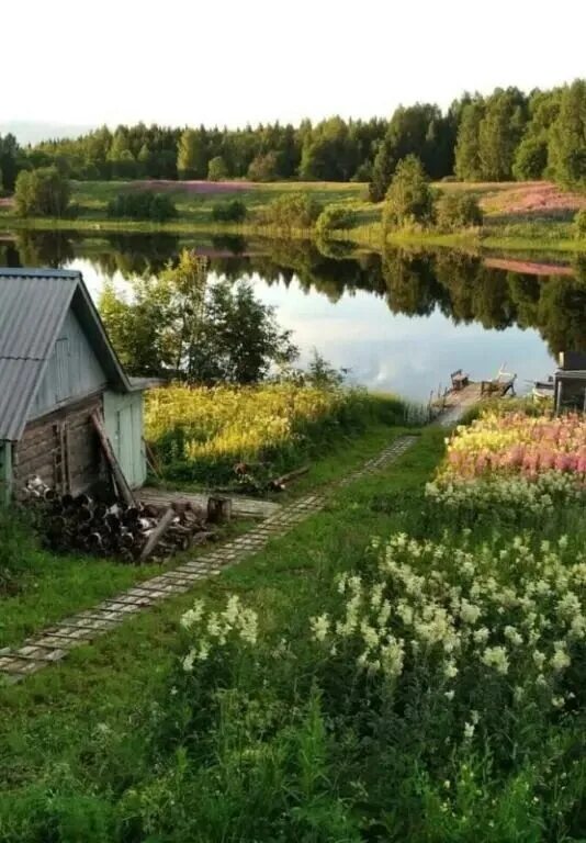 Красоты деревни фото Родные просторы. Оля Суворова. Канал о семье и семейных ценностях Дзен