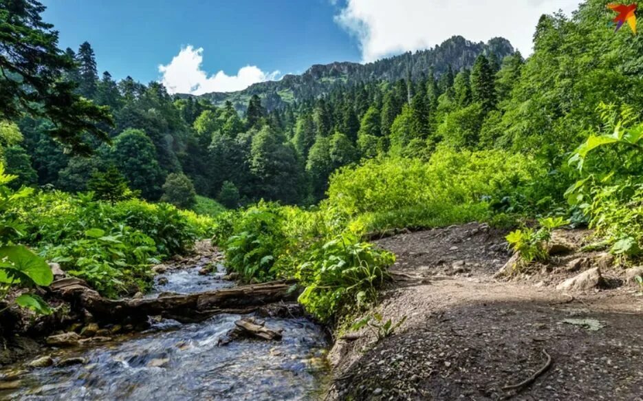 Красоты краснодарского края фото Корабль. Море Картина по номерам 40х50 см - купить с доставкой по выгодным ценам