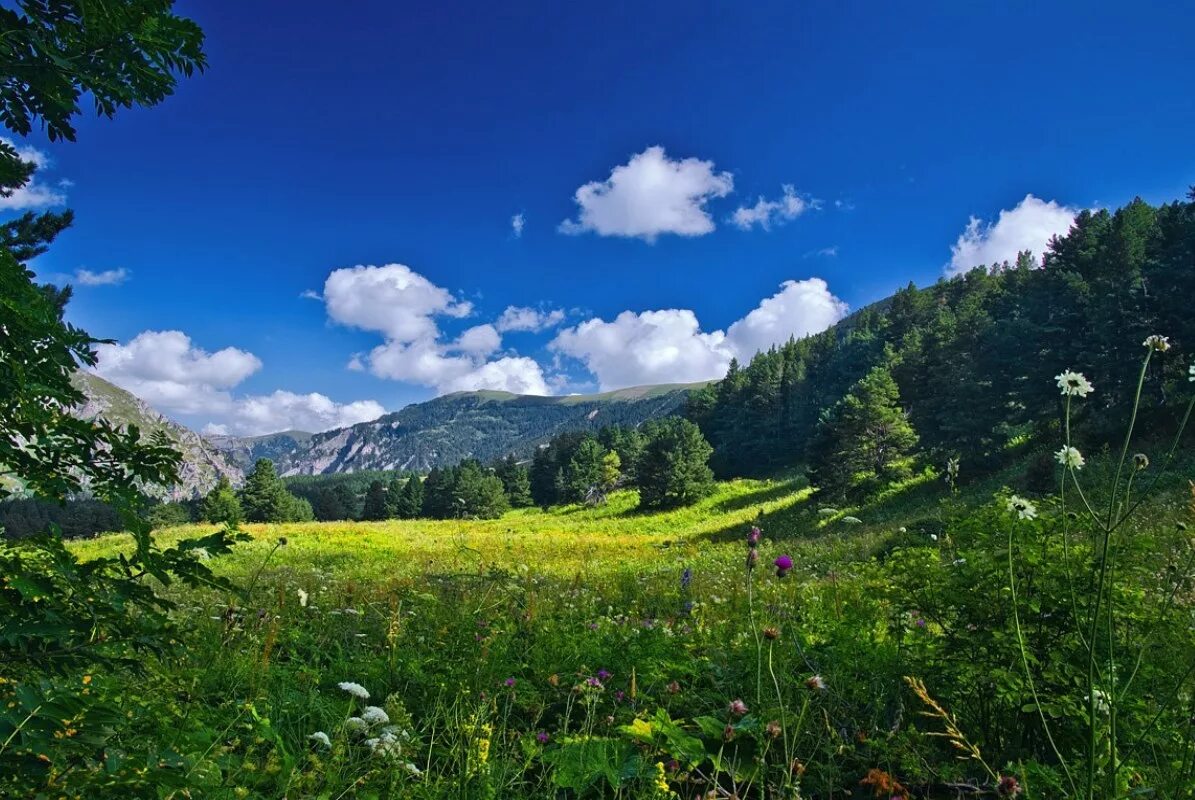 Красоты краснодарского края фото Кубань. Предгорье, Середина мая. - смотреть видео онлайн от "Человек на земле" в