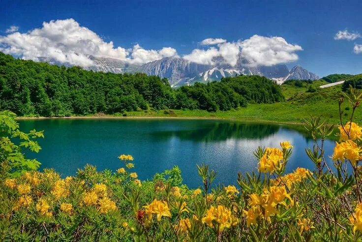 Красоты краснодарского края фото Природа Краснодарского Края , Краснодар, Россия Most beautiful flower pictures, 