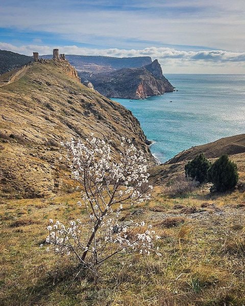 Красоты крыма фото Весна в Балаклаве