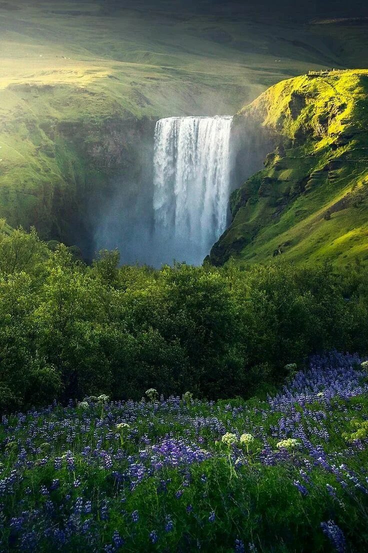 Красоты мира фото Southern Region of Iceland" by Simona Buratti Waterfall, Southern region, Landsc