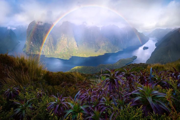 Красоты мира фото A morning for the memory books, above the fiords of New Zealand OC (1500x1000) @