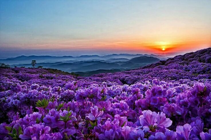 Красоты мира фото Pin by Ирина on красота Beautiful landscapes, Nature photography, Beautiful natu